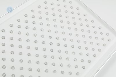 Лейка Gappo G001-32 потолочная для душевого бокса и душевой кабины диаметром 320х210 мм  , белый/хром