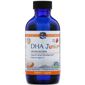 Nordic Naturals, DHA Junior, Great for Ages 1+, Strawberry, 4 fl oz (119 ml)